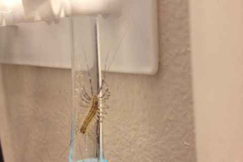 The day I decided to get a new toothbrush